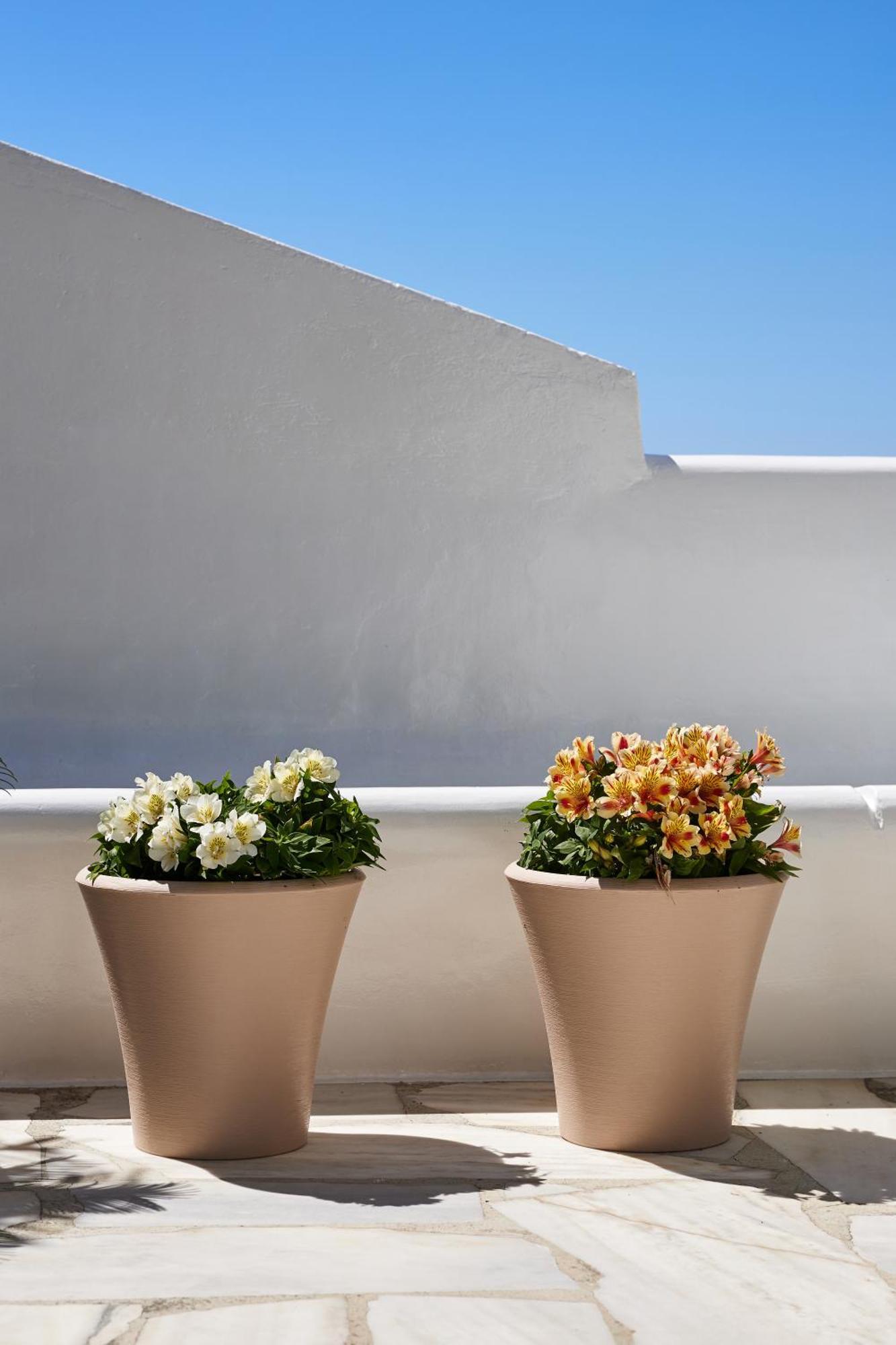 Sand Lily Villa Mykonos Mykonos Town Exterior photo